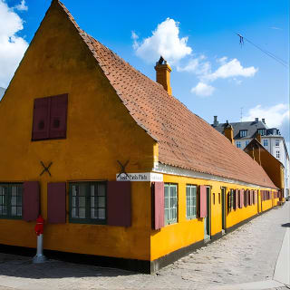  3h walking tour, small group max 10 people Copenhagen 8