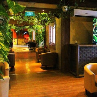 Dubai Butterfly Garden: Skip The Line 5