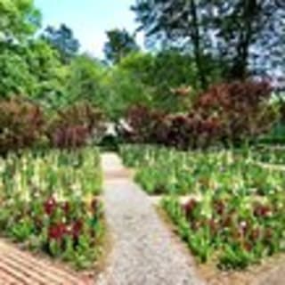Exclusive Private Tour of Colonial Williamsburg and the College 4