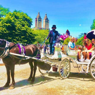 Central Park Horse and Carriage Rides 4