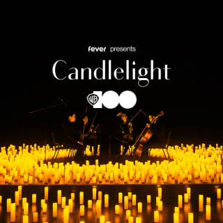 Candlelight: 100 Years of Warner Bros. 3