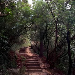 Half-day Hiking Tour in The Green to Lion Rock in Hong Kong 5