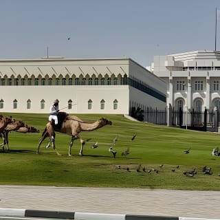 Walking Tour: Discover Souq Waqif, An Almost Free Walking Tour 2