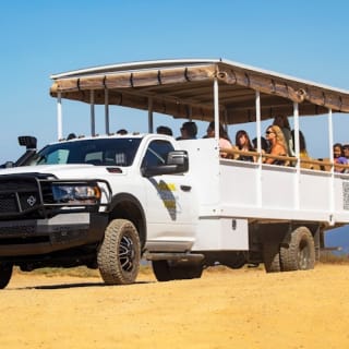 Santa Catalina Island: Tour guidato in safari 3