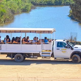 Santa Catalina Island: Tour guidato in safari 5