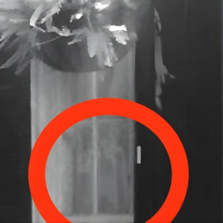 New Orleans Ghost Hunt Experience: Voices from Beyond 7