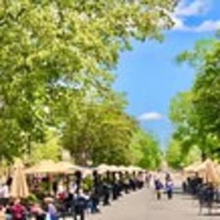 Exclusive Private Tour of Colonial Williamsburg and the College 8
