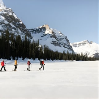 [Excursión de un día] Aventura en Lake Louise, Johnston Canyon y la ciudad de Banff 5