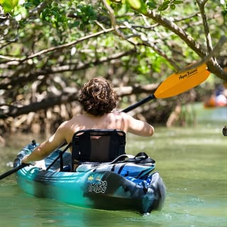 Avventura in kayak guidata nel туннель мангрови 9