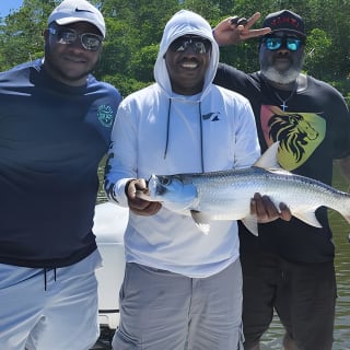 Light Tackle Tarpon & Snook Fishing Charter 32