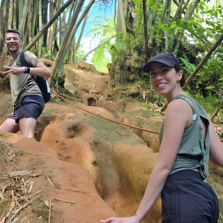 El Yunque Rainforest and Luquillo Kiosk Day Trip 1