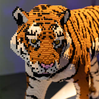 The Art of the Brick: An Exhibition of LEGO® Art 6