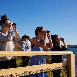 Manly Snorkel Trip and Nature Walk with Local Guide 4