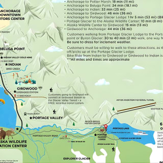 Winter - Wildlife & Turnagain Arm Tour 8