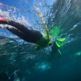 Manly Snorkel Trip and Nature Walk with Local Guide 6