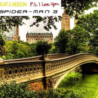 Central Park Horse and Carriage Rides 12