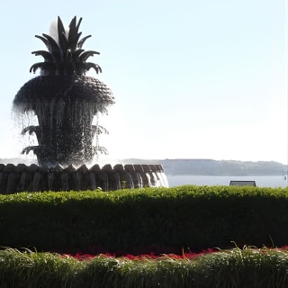 City Bus Tour with Charleston Museum Admission 6