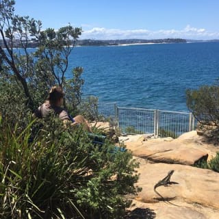 Manly Snorkel Trip and Nature Walk with Local Guide 8