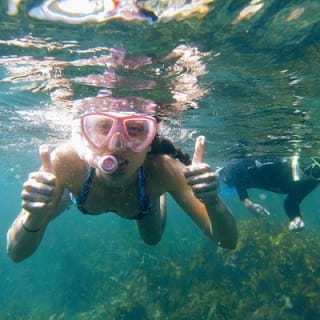 Manly Snorkel Trip and Nature Walk with Local Guide 9