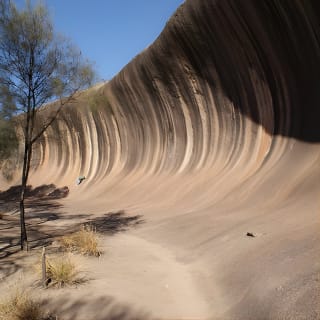 Wave Rock and Pinnacles Air & Ground Tour 6