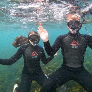 Manly Snorkel Trip and Nature Walk with Local Guide 10