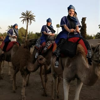 Promenade à dos de chameau dans les palmeraies de Marrakech 2