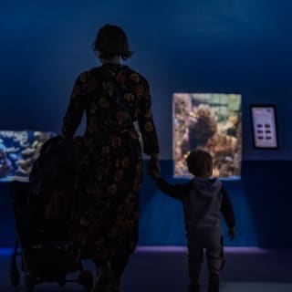 Billets pour l'Aquarium de Paris 2