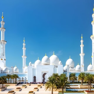Abu Dhabi City Tour with Desert Safari Adventure 1