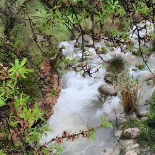 Soller Valley Walk with Orange Farm Visit 18