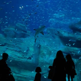 Billets pour l'Aquarium de Paris 1