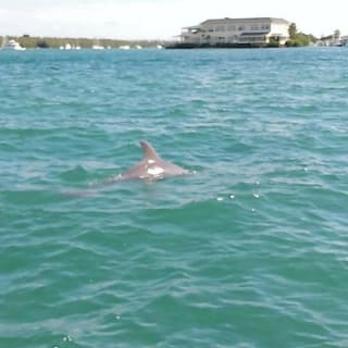 26Ft Miami Private Boat Tour for 11 ppl, 2 & 4 Hrs Free Champagne 10