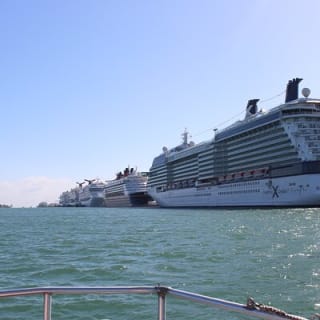 Crucero al Atardecer en Miami y Cóctel con las Luces de la Ciudad 8