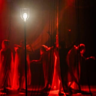 Ghost Light Masquerade: San Diego's Ultimate Halloween Immersive Performance 10