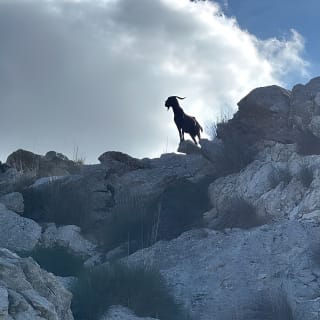 Wanderung in der Sierra de Tramuntana mit kleinem Picknick 26