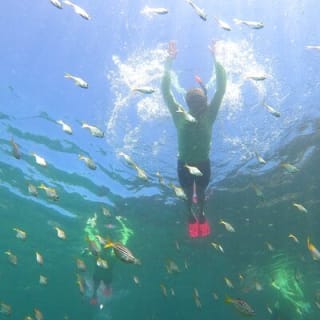 Manly Snorkel Trip and Nature Walk with Local Guide 14