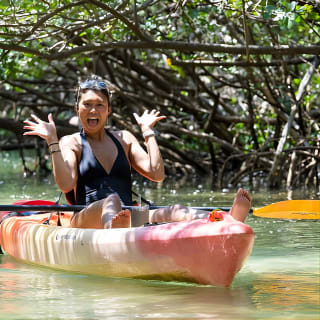 Avventura in kayak guidata nel туннель мангрови 10