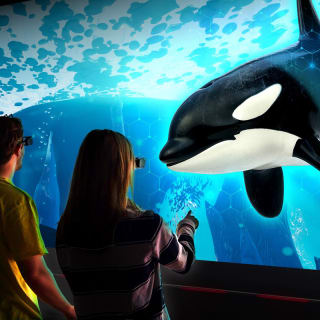 Hologram Zoo CDMX 3