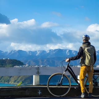 Geführte Wellington Sightseeing Tour per E-Bike 2