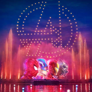 Disneyland® Paris : billet 1 jour 1 parc 6