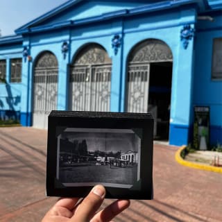 El Coyoacán de Frida 4