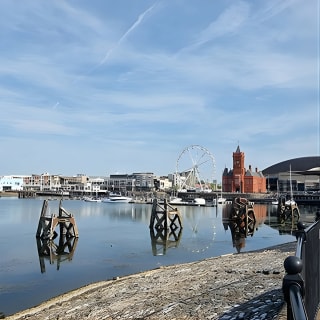 Visite touristique de Cardiff Bay et Vale of Glamorgan - Journée complète avec chauffeur 8