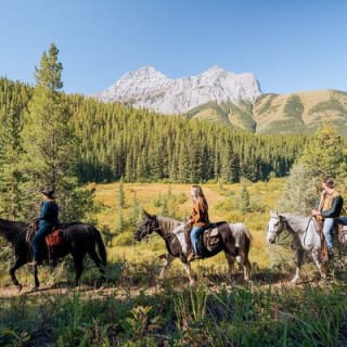 Valley Vista 1.5 Hour Horseback Trail Ride in Kananaskis 3