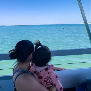 Pensacola Beach Jolly Dolphin Cruise and Scenic Bay Tour 3