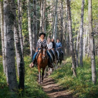 Valley Vista 1.5 Hour Horseback Trail Ride in Kananaskis 4
