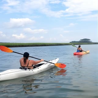 Kayak Salt Marsh Maze Tour 8