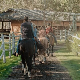 Valley Vista 1.5 Hour Horseback Trail Ride in Kananaskis 7