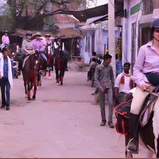 Jaipur Horse Riding Adventure 1
