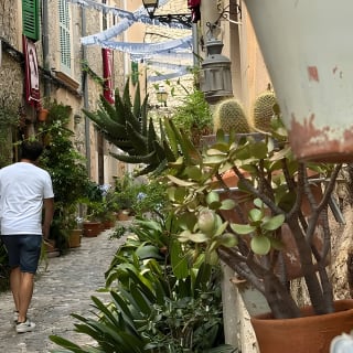 Valldemossa Tour and its Most Beautiful Viewpoints Easy Hike 3