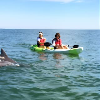 Tour Eco de Delfines en Kayak para Grupos Pequeños 1