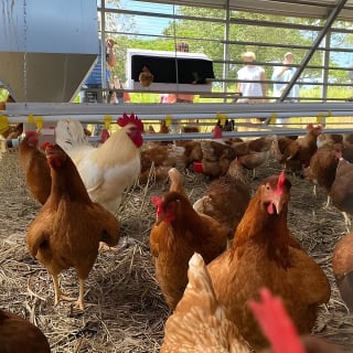 Eco Friendly Farming Tour to Explore Dorado's Most Beautiful Farm 16